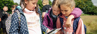 As part of our Roots project helping school children to embrace news ways of learning in the great outdoors, pupils from Johnston CP School visited a conservation meadow at a local farm.